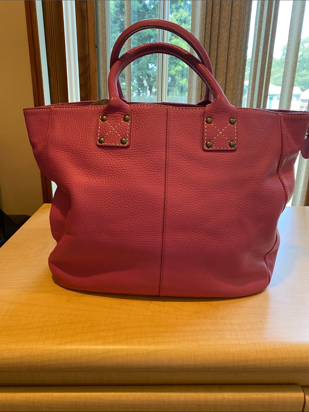 THE GAP Women's Pink Leather Tote Handbag